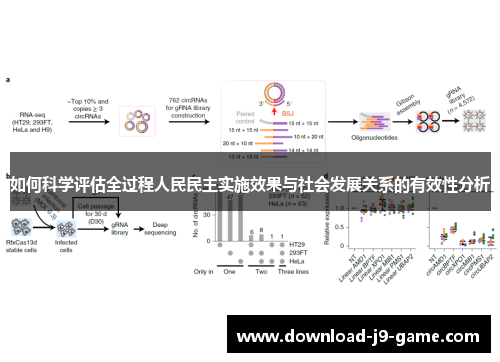 如何科学评估全过程人民民主实施效果与社会发展关系的有效性分析